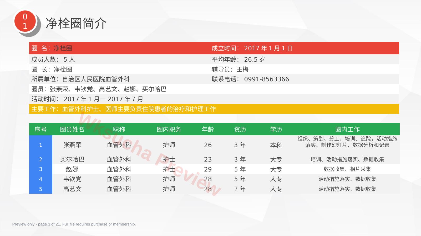预览第 3 页
