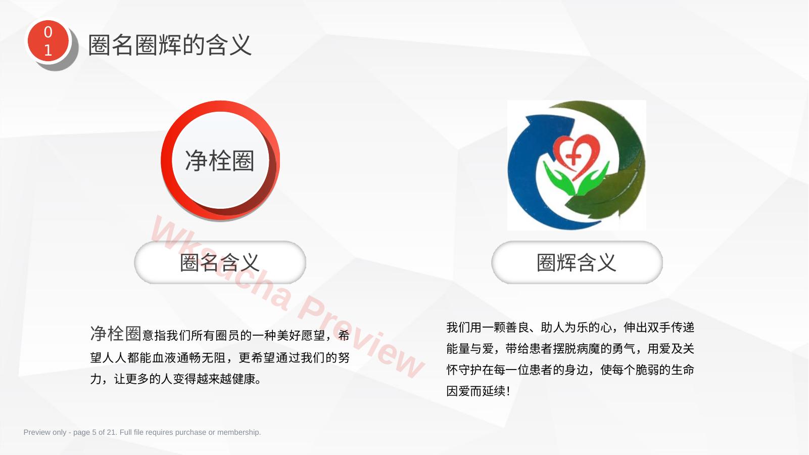预览第 5 页