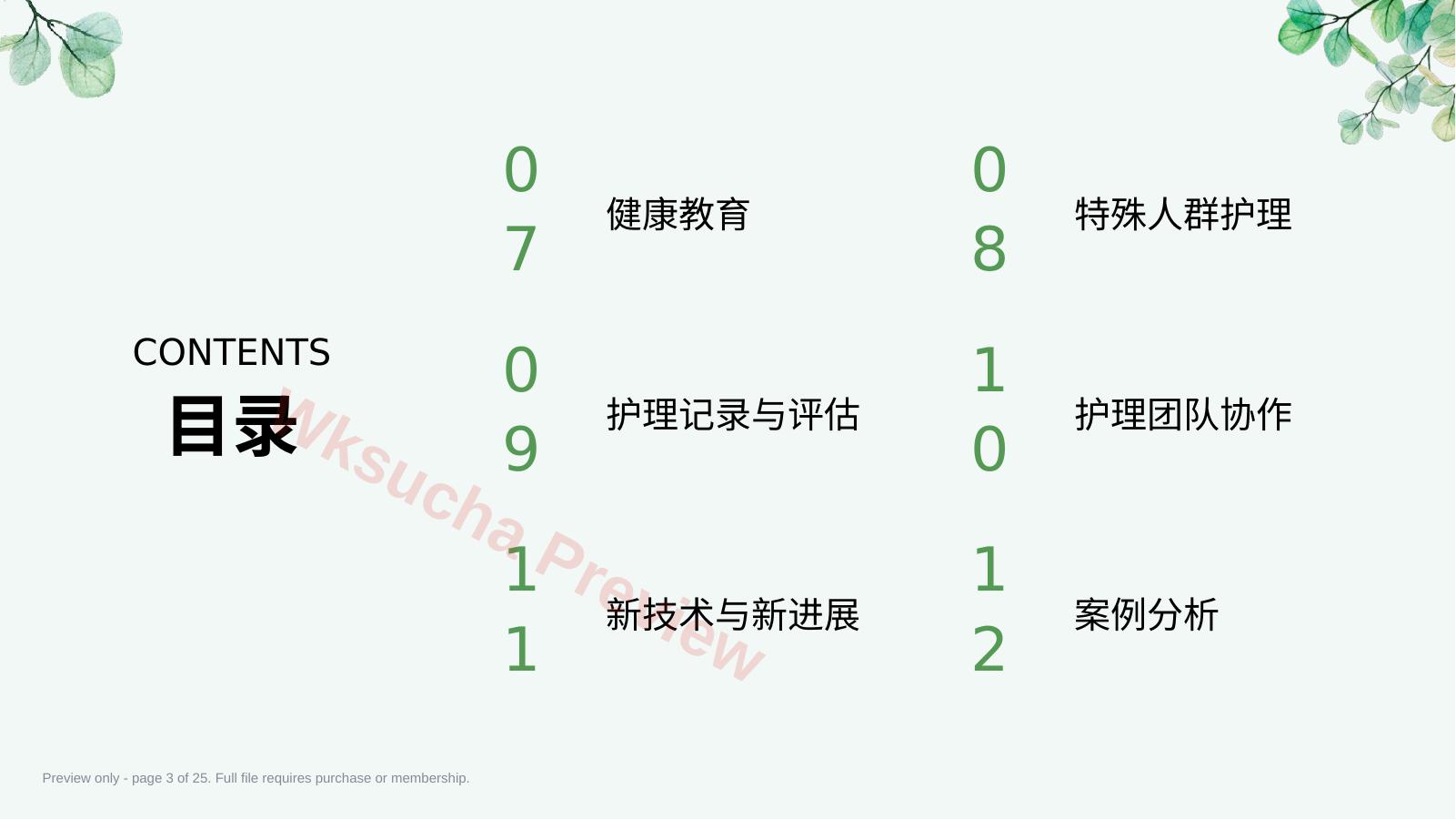 预览第 3 页