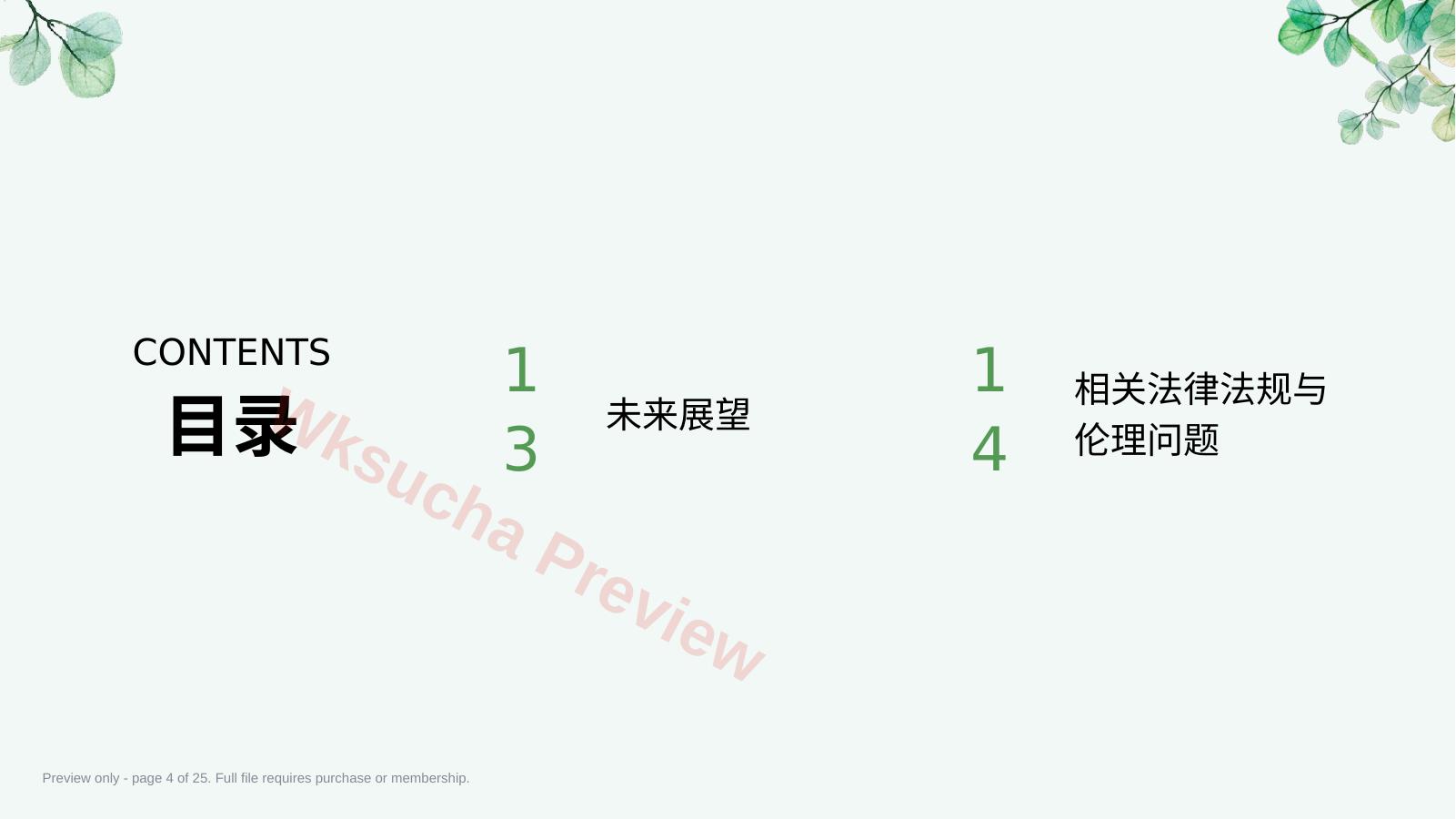 预览第 4 页