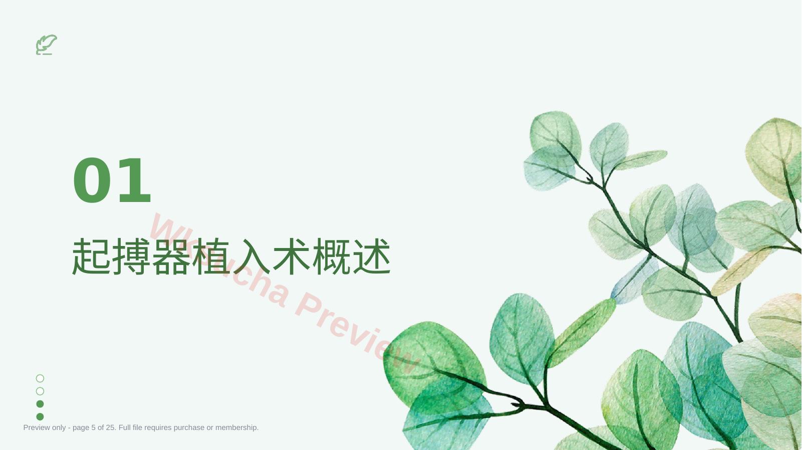 预览第 5 页