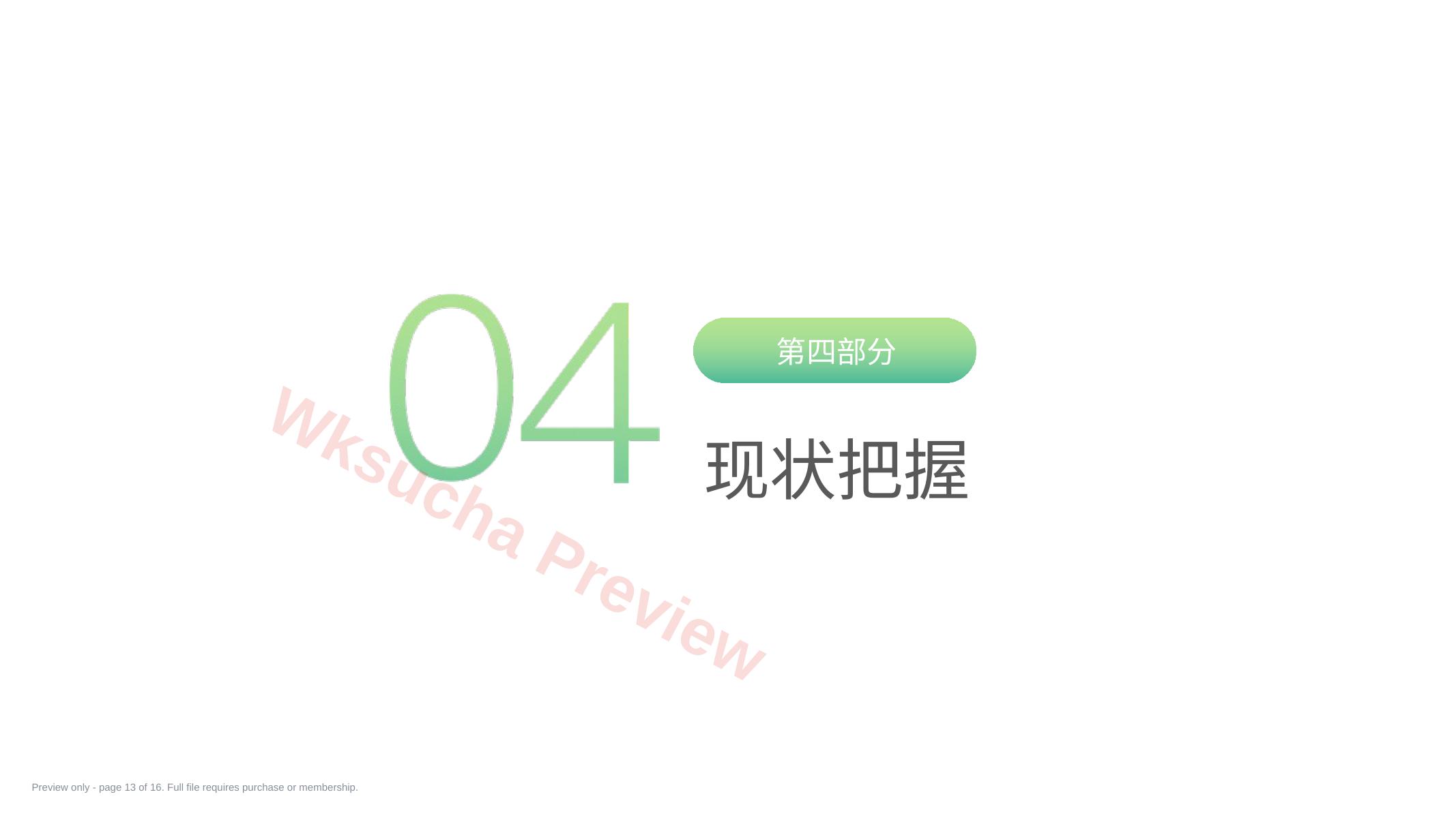 预览第 13 页