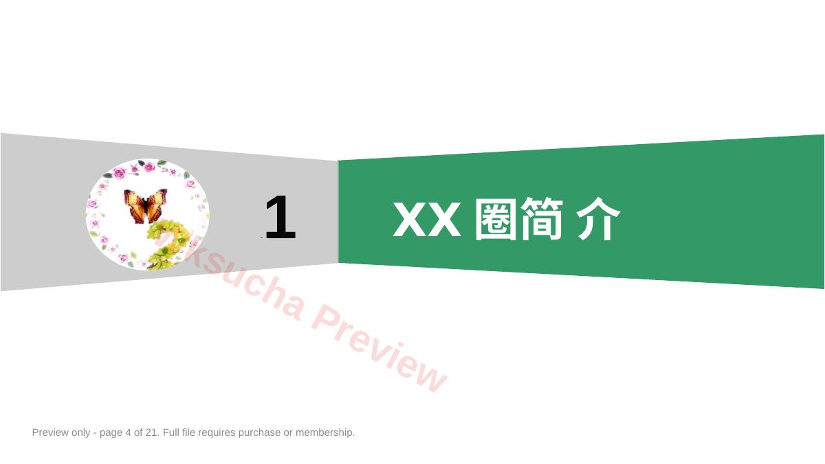 预览第 4 页
