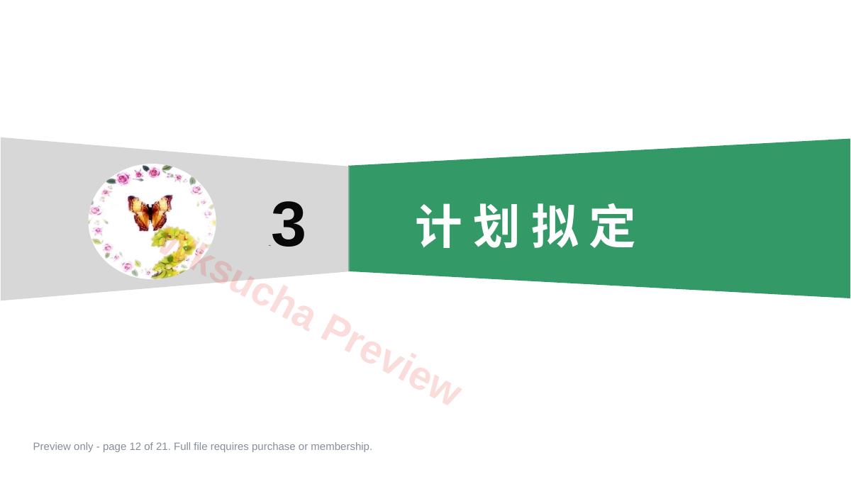 预览第 12 页