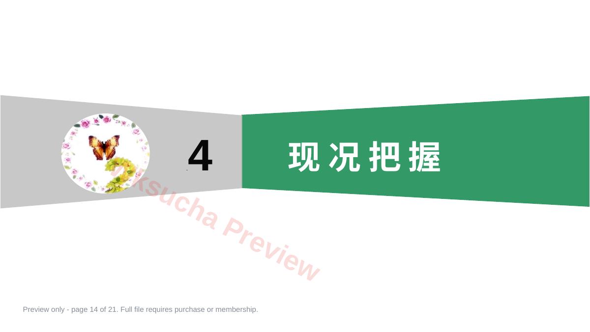预览第 14 页