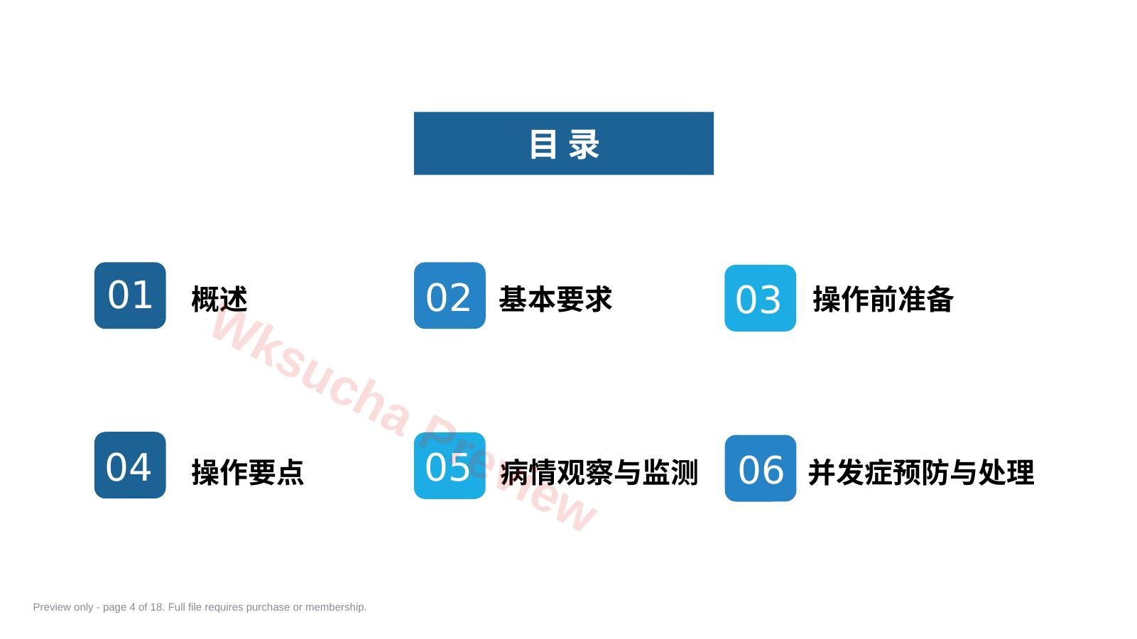 预览第 4 页