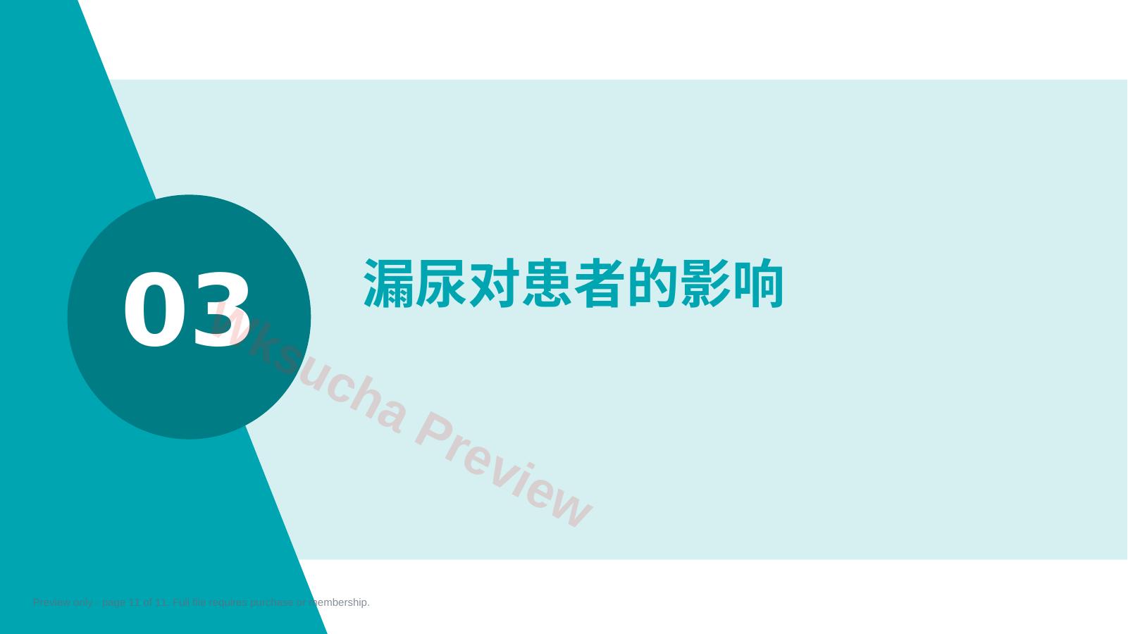 预览第 11 页