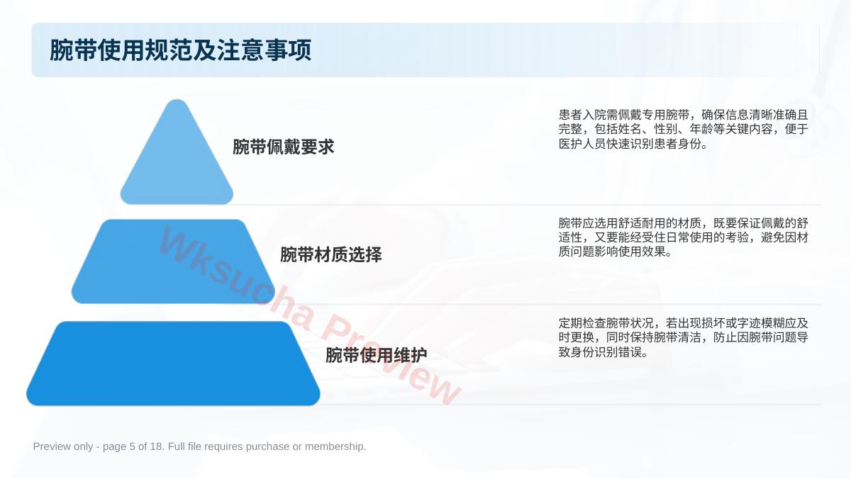 预览第 5 页