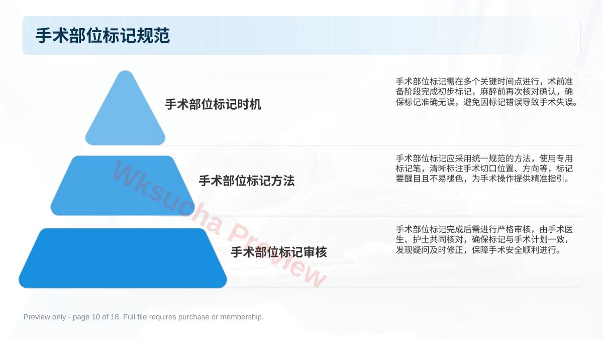 预览第 10 页