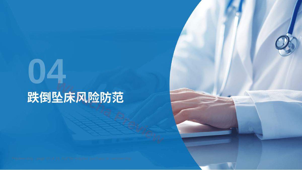 预览第 12 页