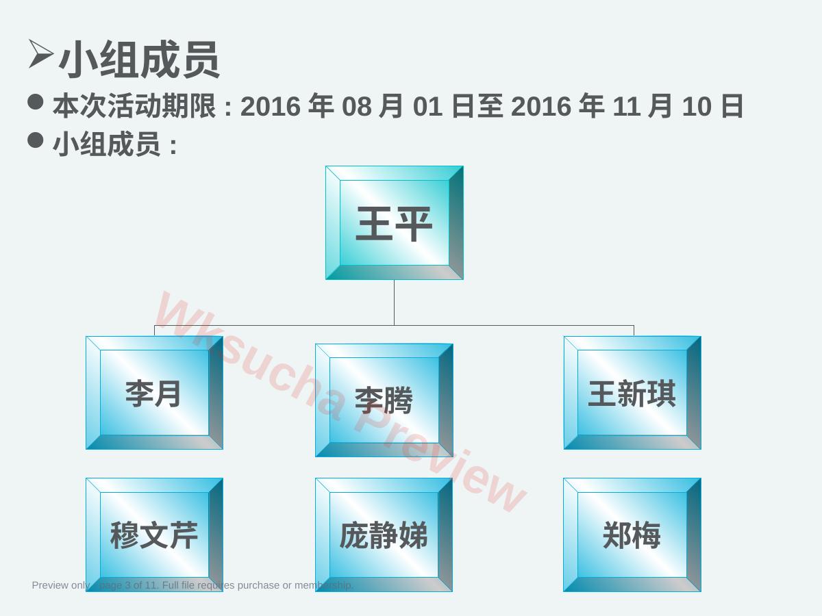 预览第 3 页