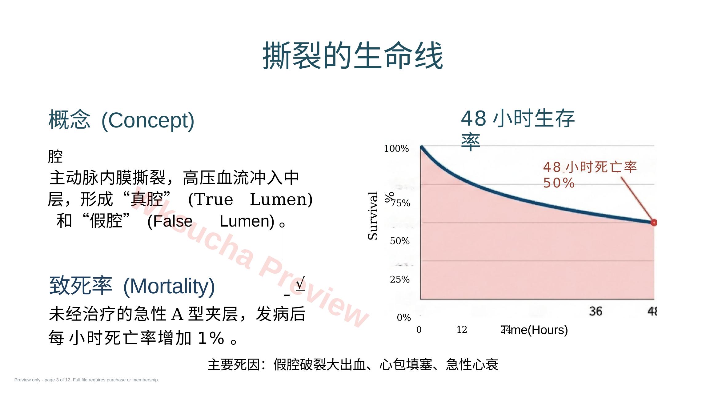 预览第 3 页