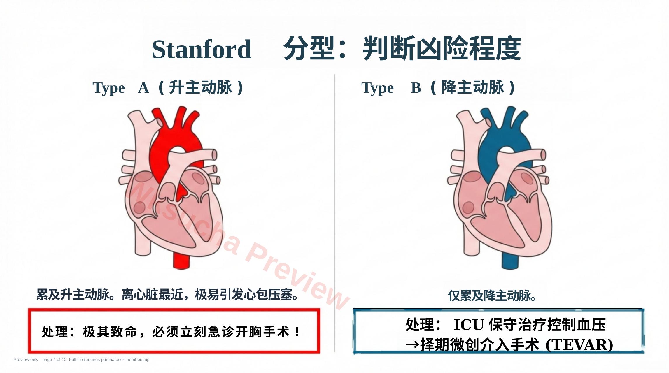 预览第 4 页