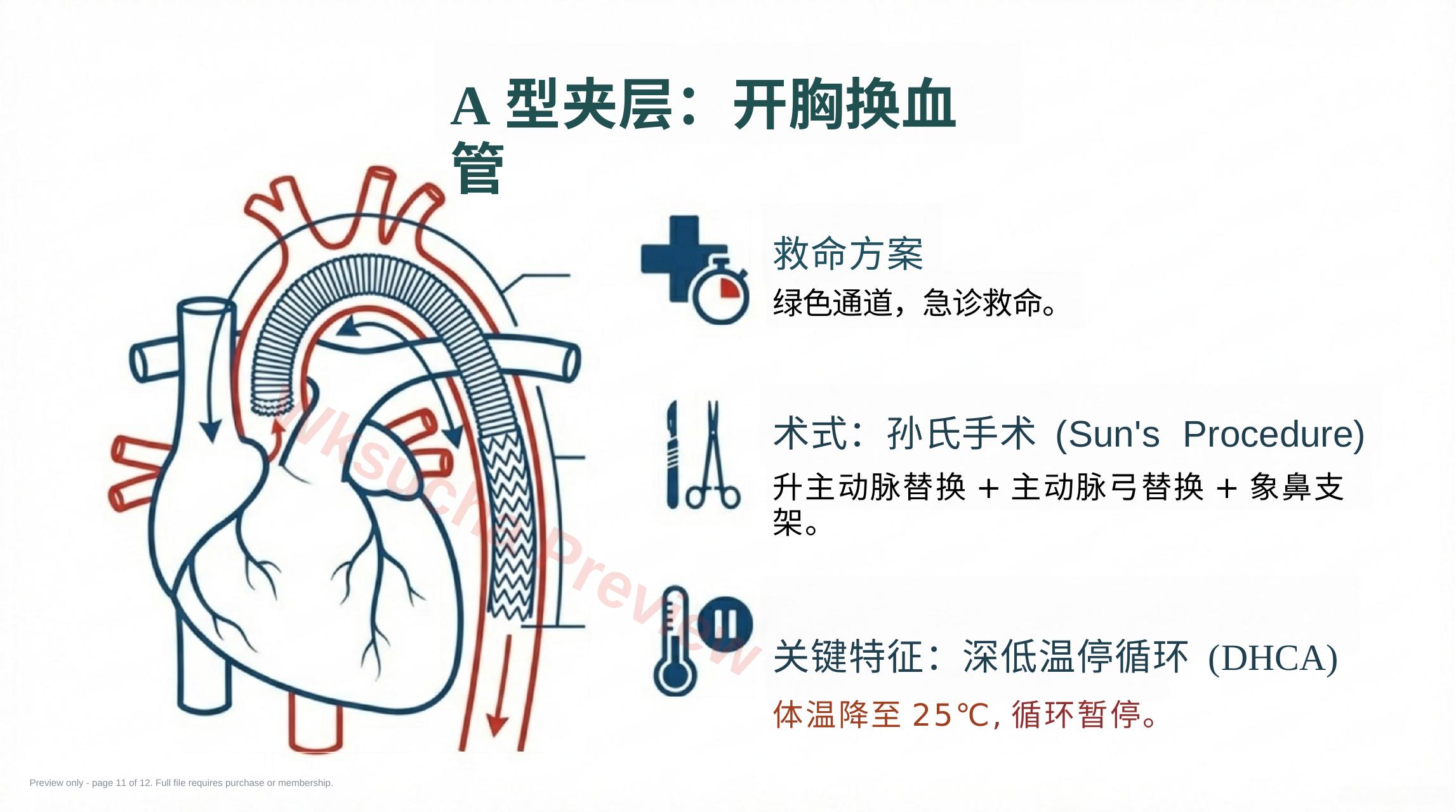 预览第 11 页