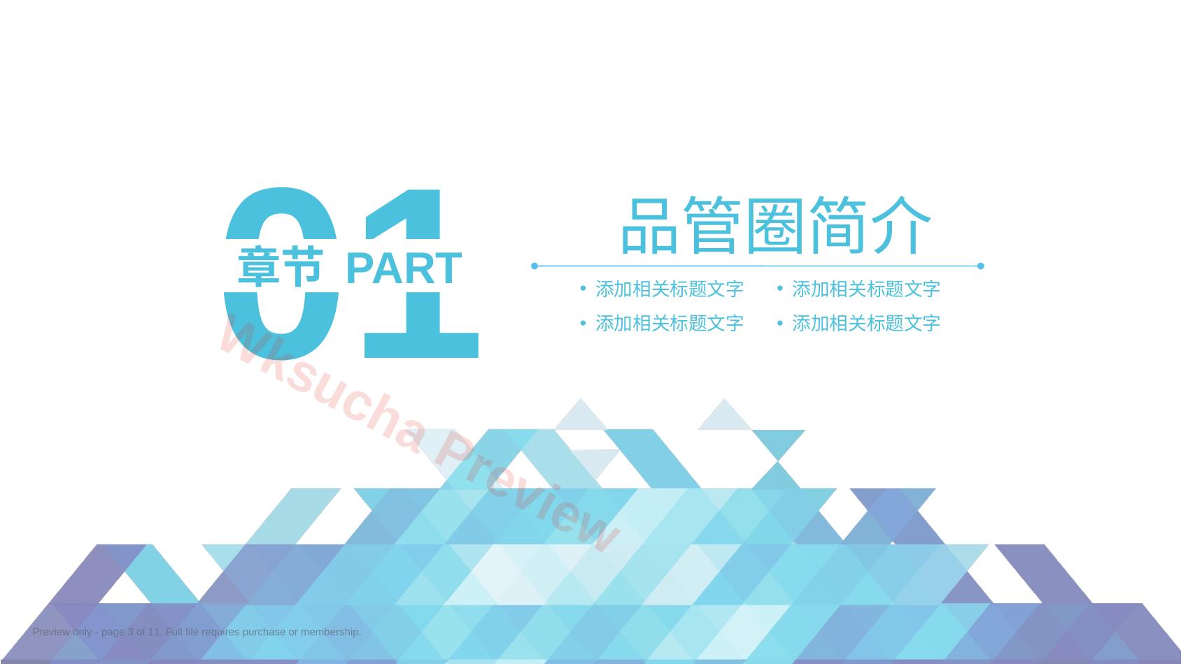 预览第 3 页