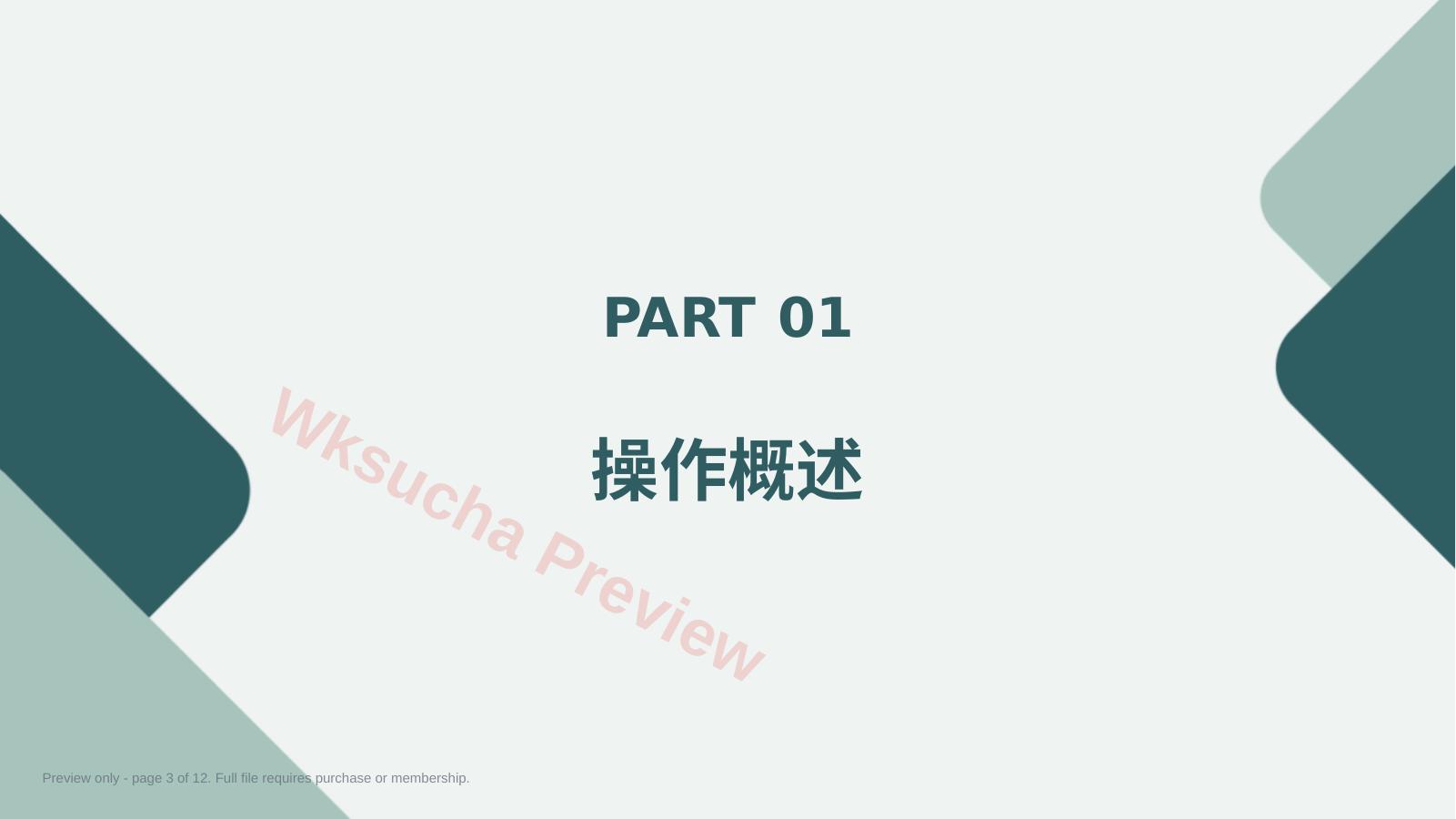 预览第 3 页