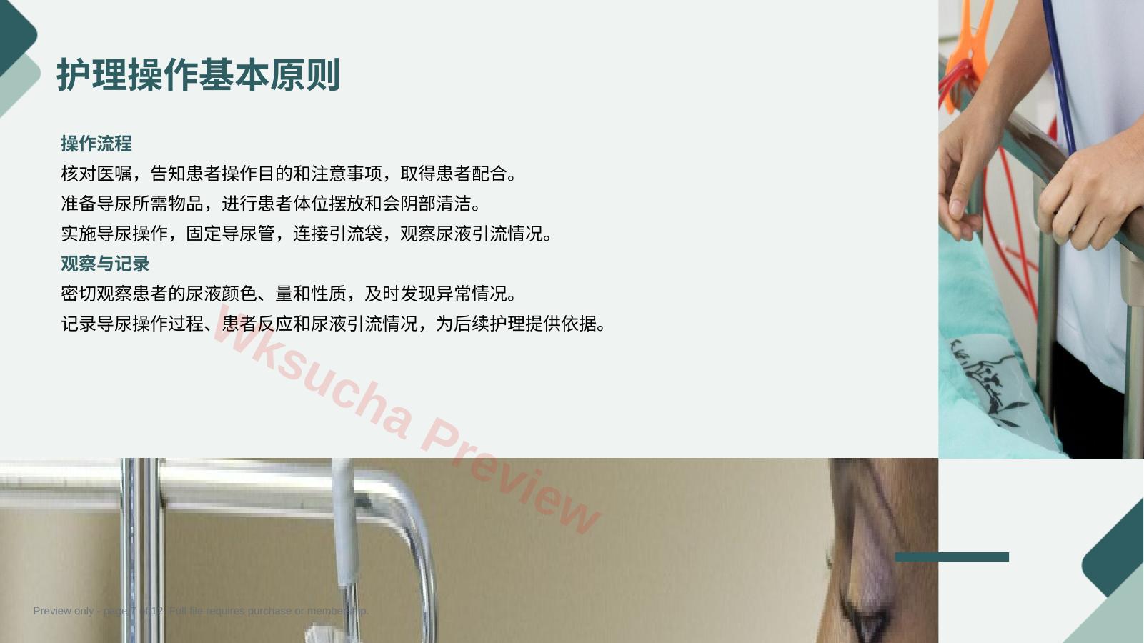 预览第 7 页