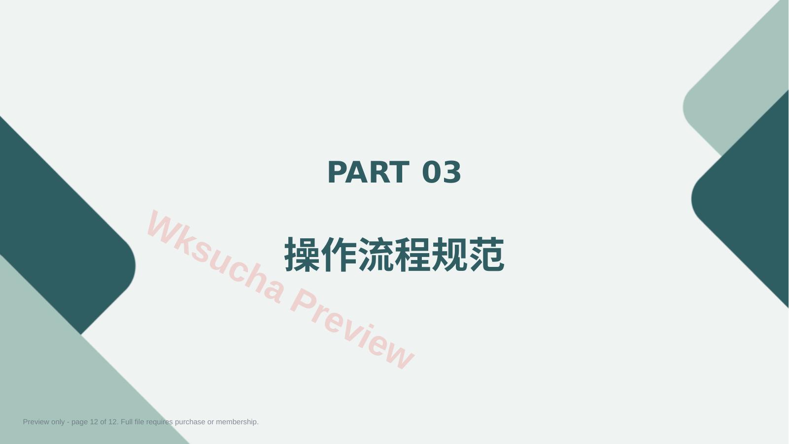 预览第 12 页