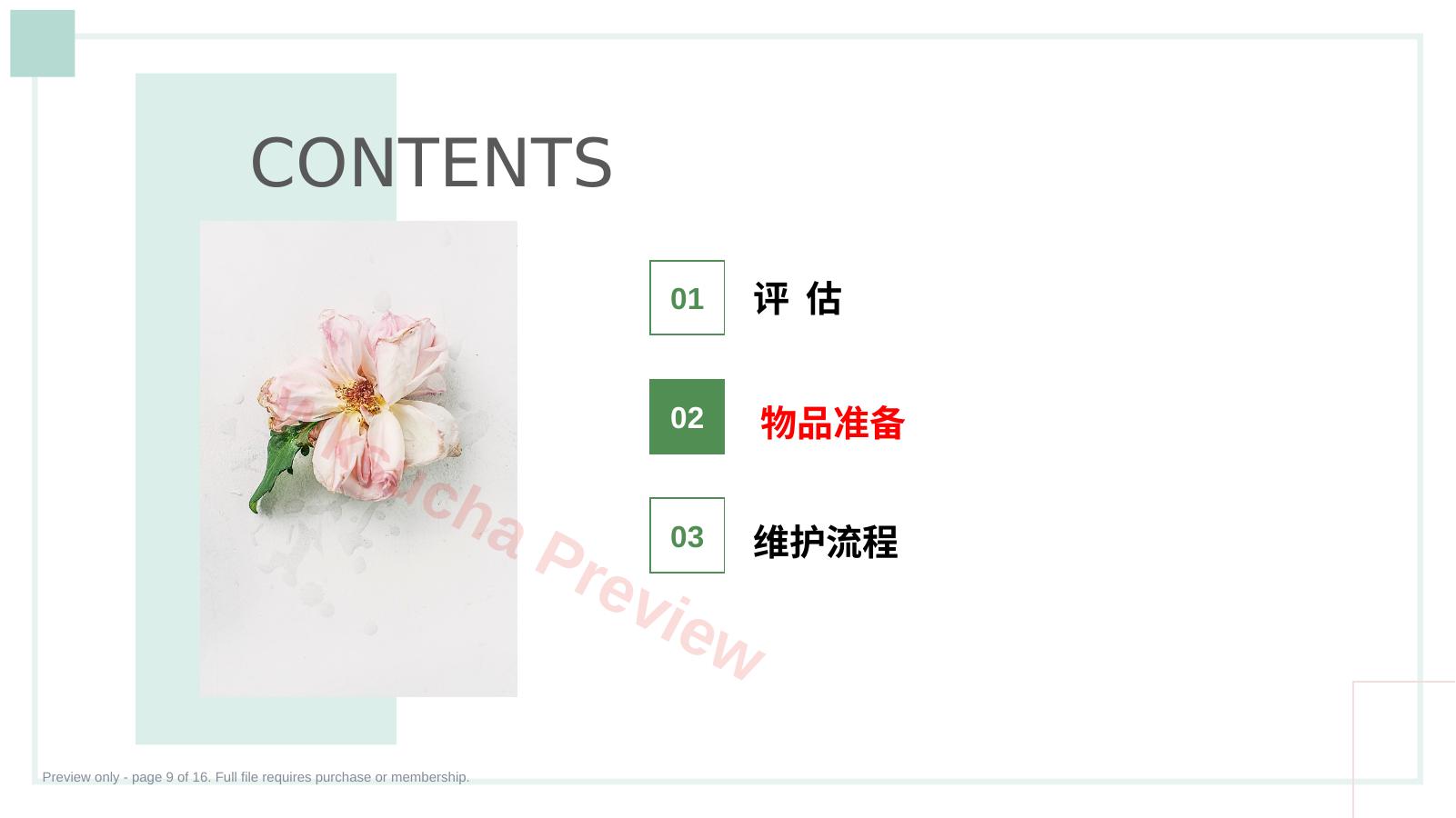 预览第 9 页