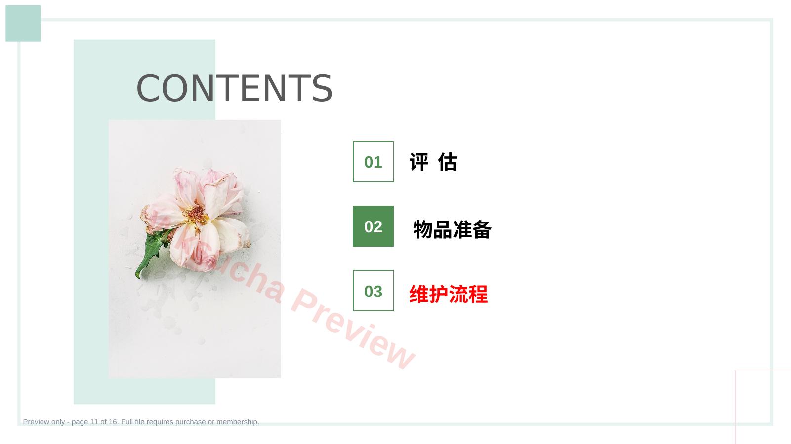 预览第 11 页
