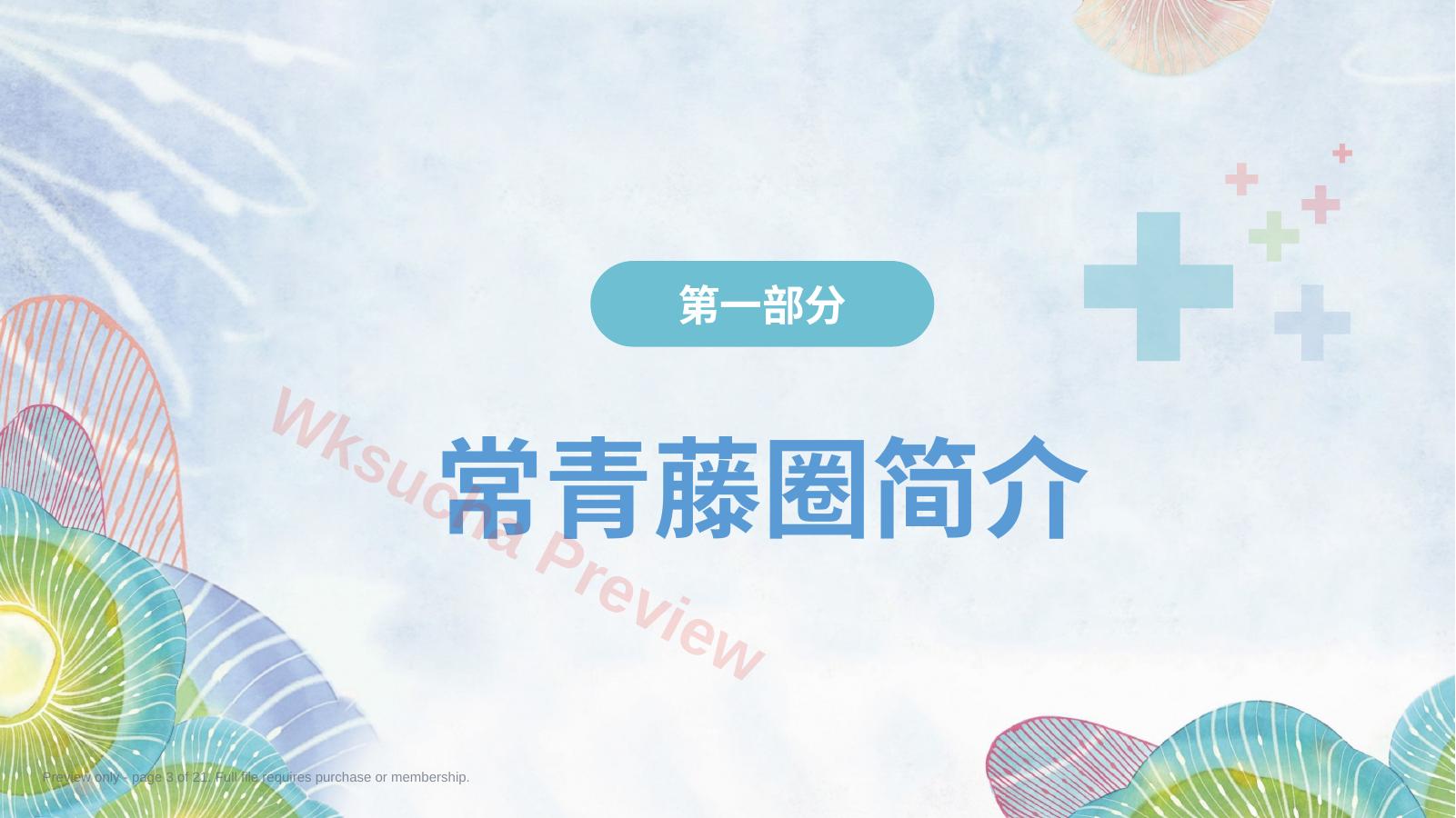 预览第 3 页