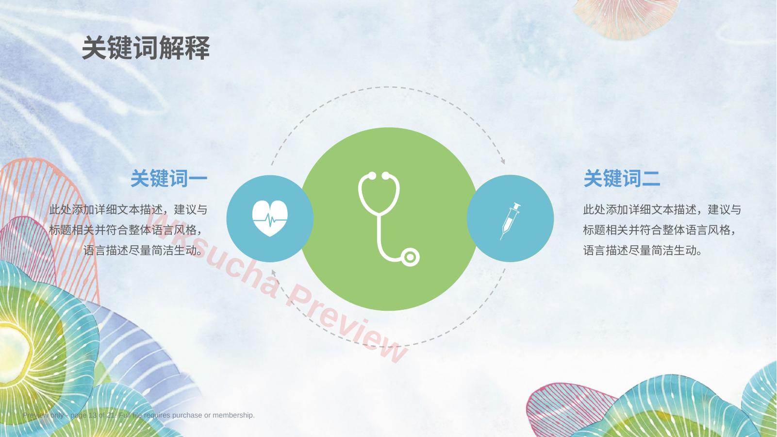 预览第 13 页