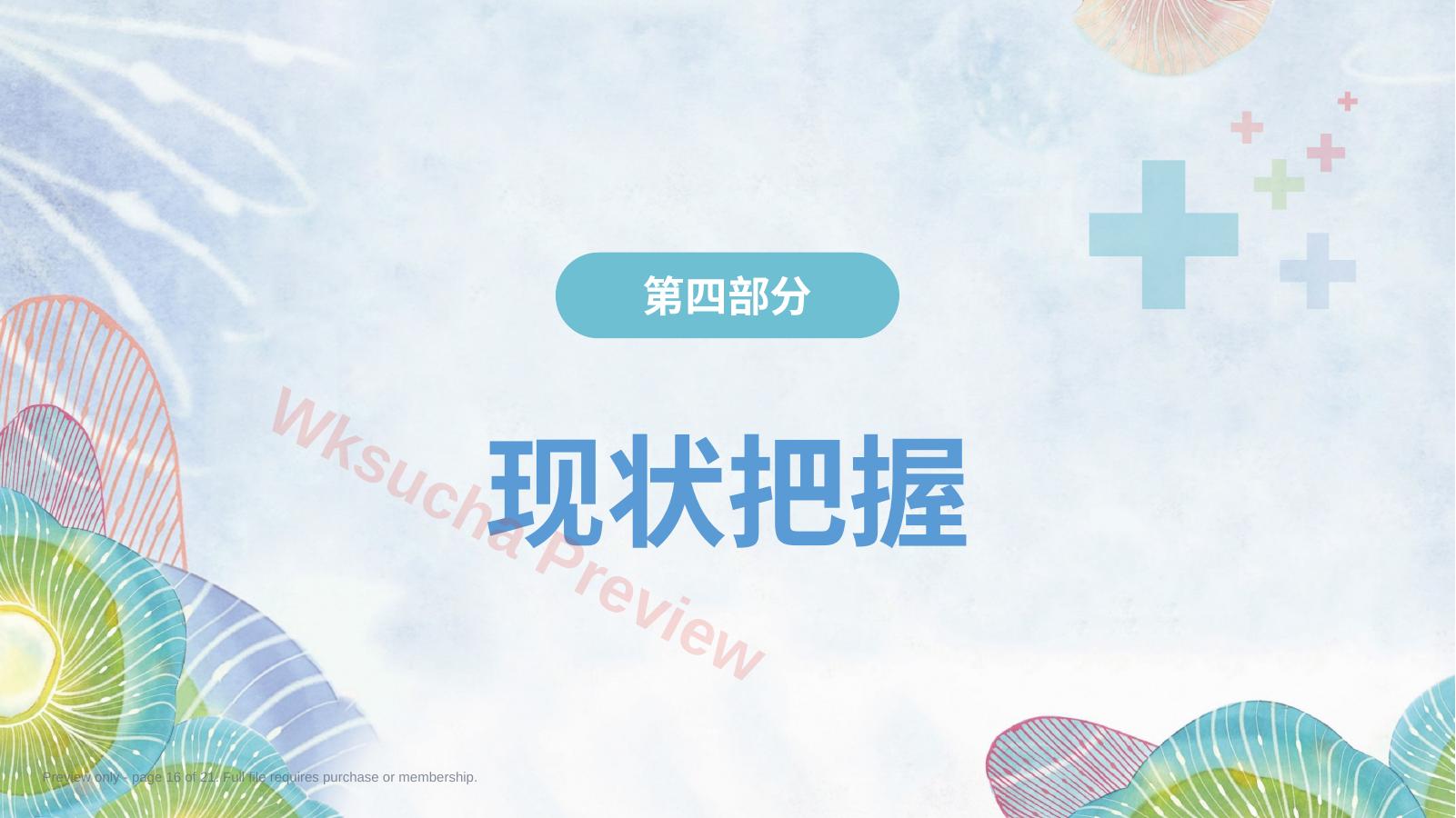 预览第 16 页