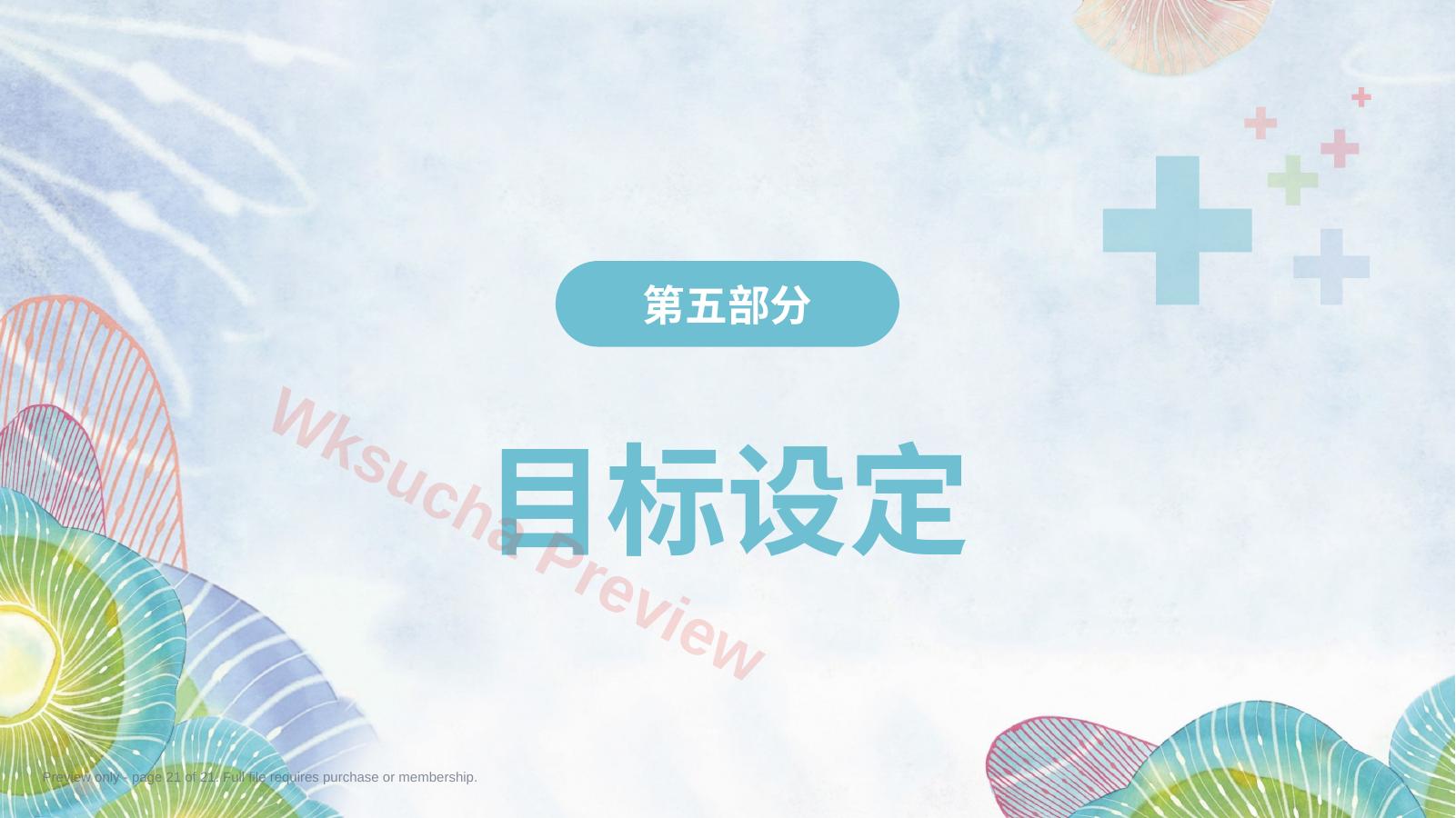 预览第 21 页