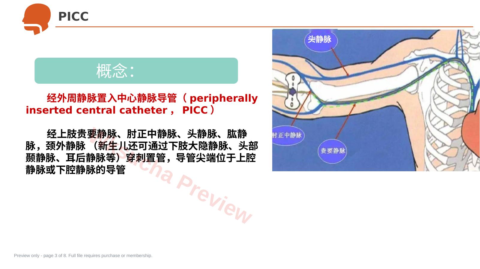 预览第 3 页