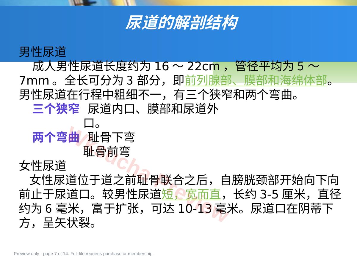 预览第 7 页