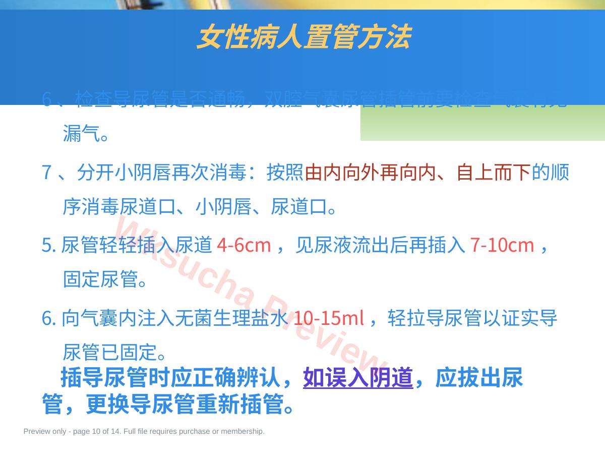 预览第 10 页