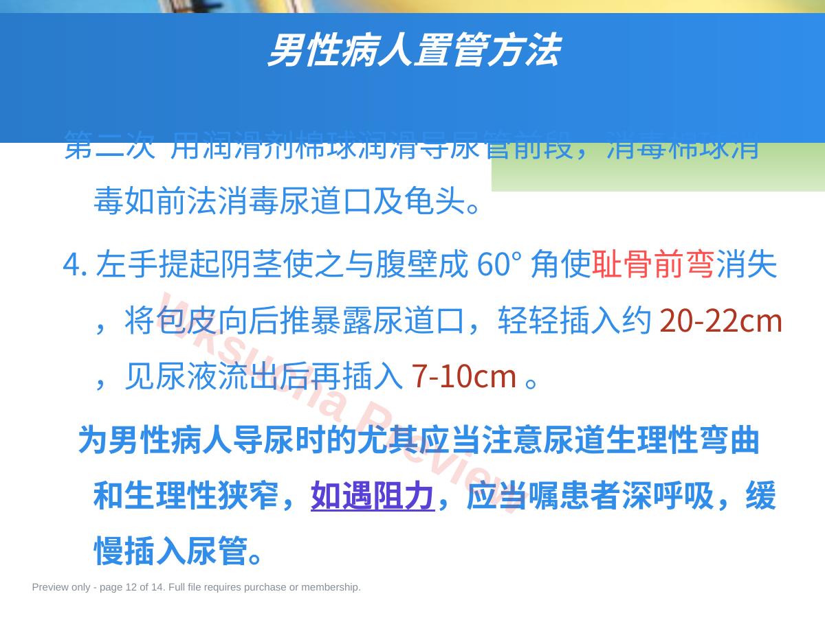 预览第 12 页