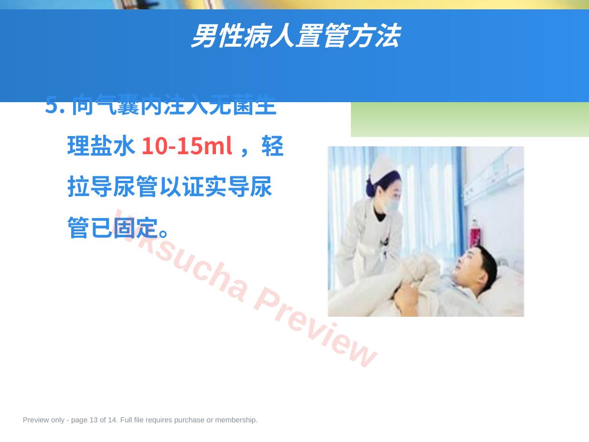 预览第 13 页