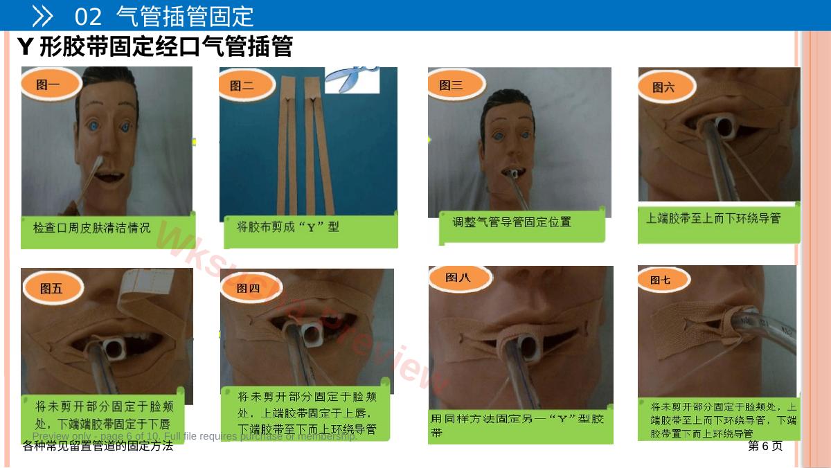预览第 6 页
