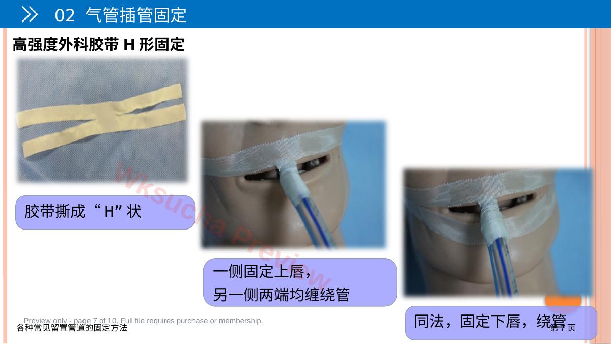 预览第 7 页