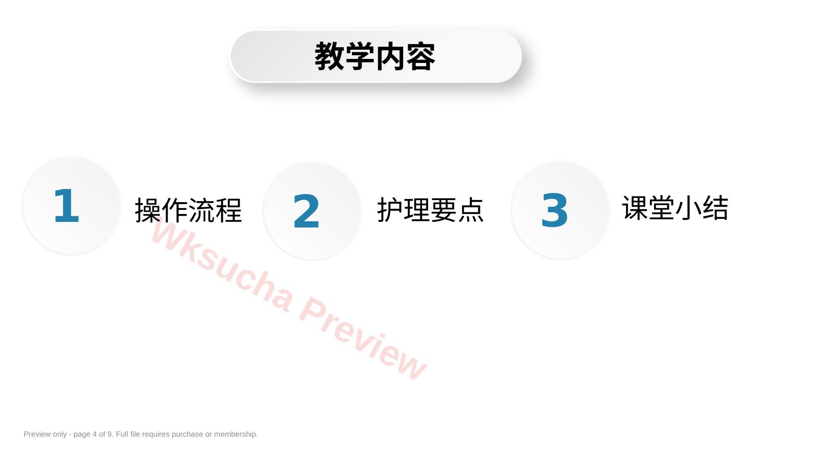 预览第 4 页