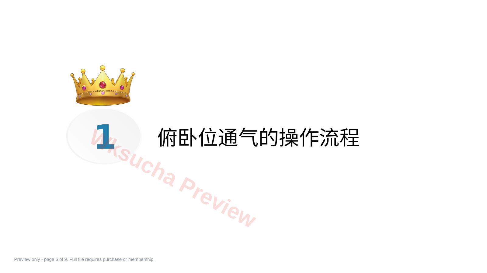 预览第 6 页