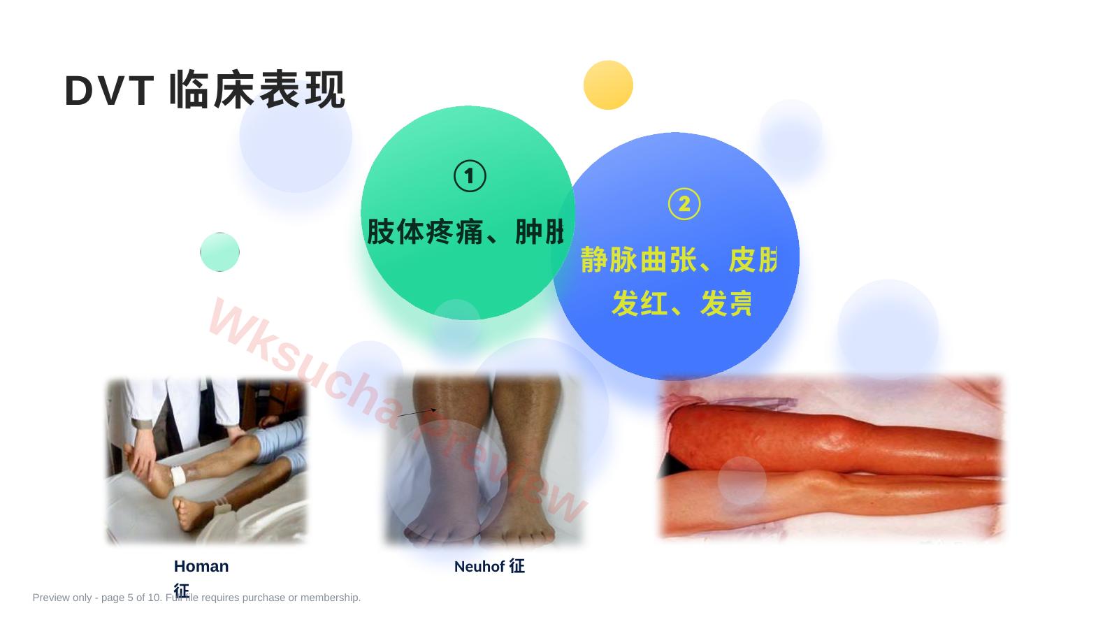 预览第 5 页