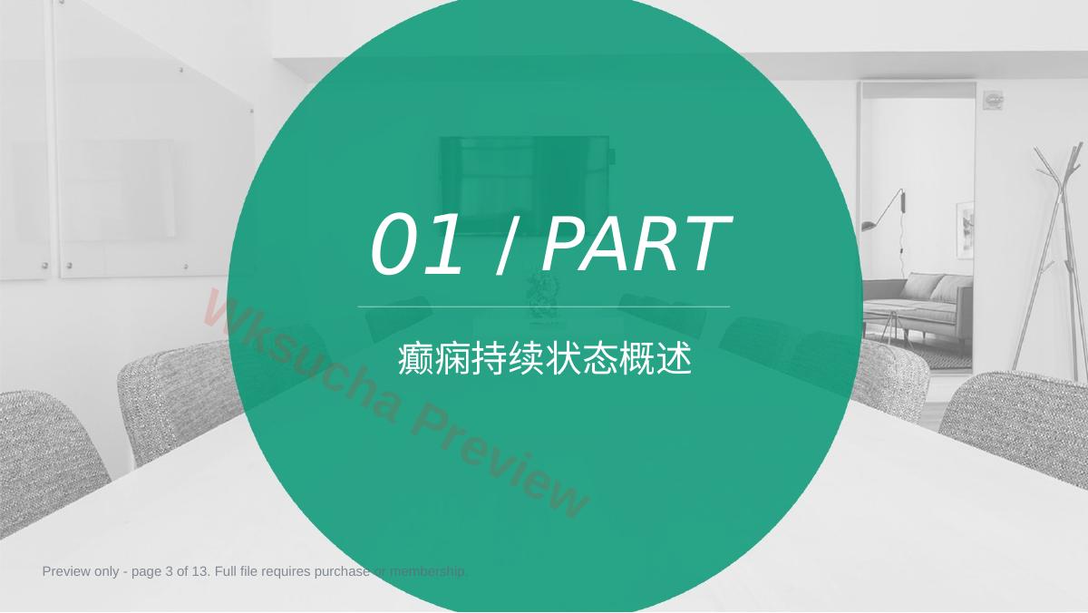 预览第 3 页