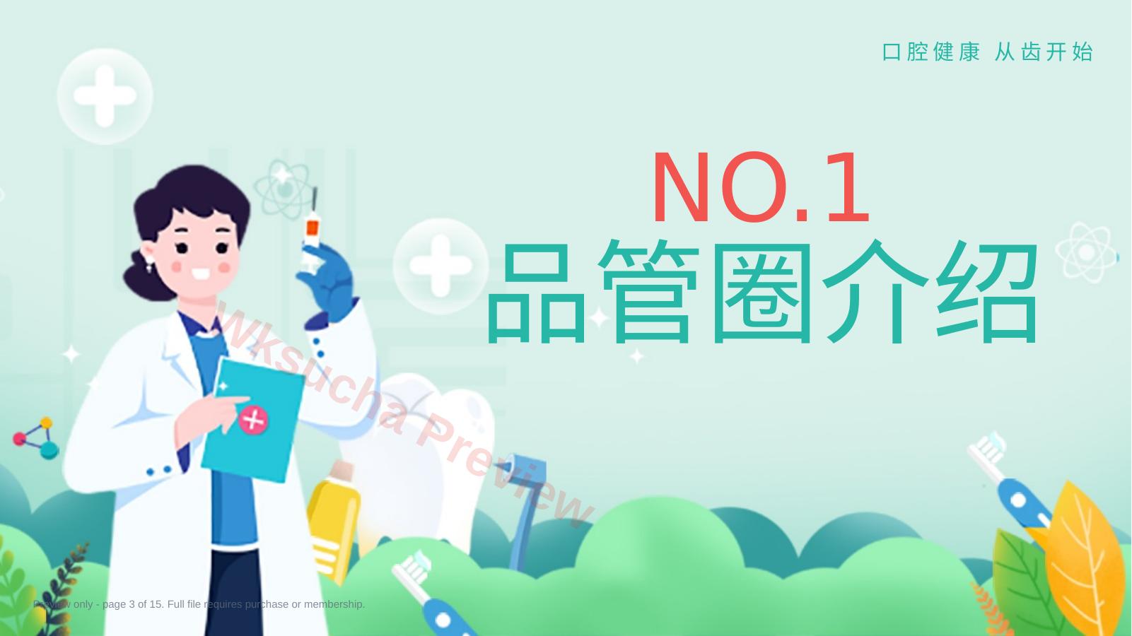 预览第 3 页
