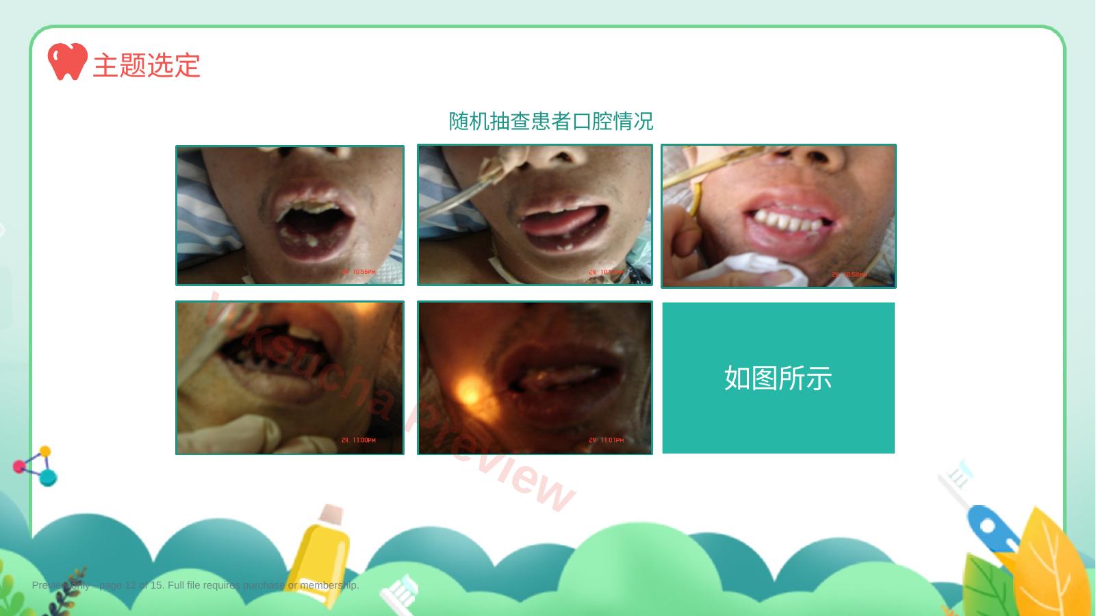 预览第 12 页