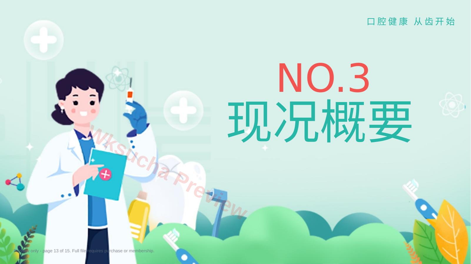 预览第 13 页