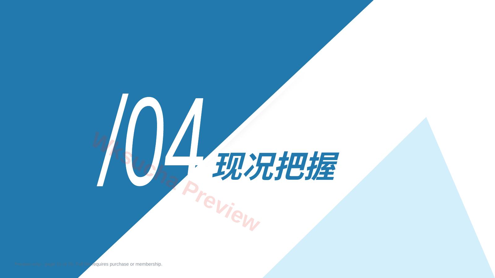 预览第 21 页