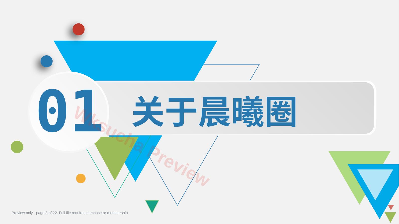 预览第 3 页