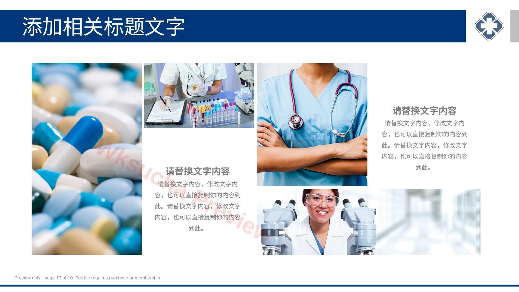 预览第 10 页