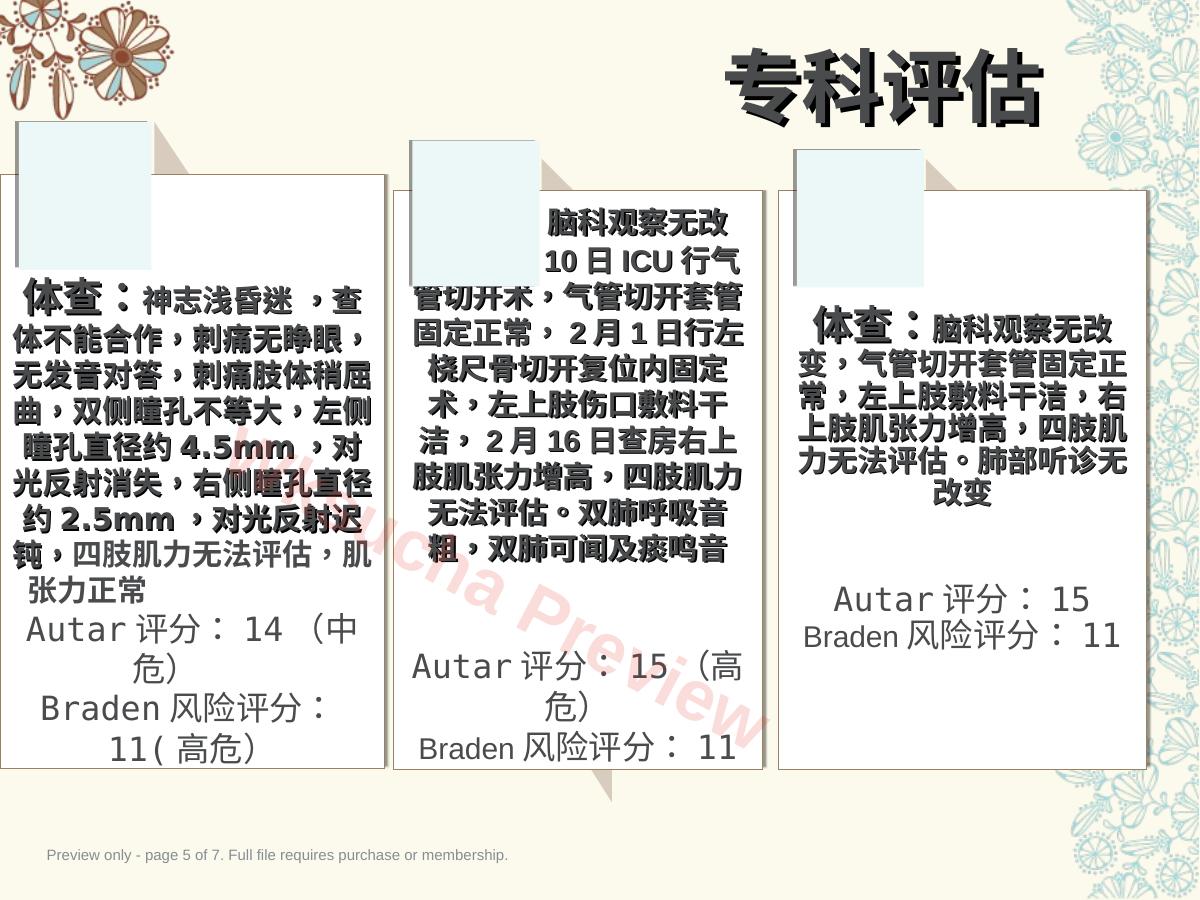 预览第 5 页