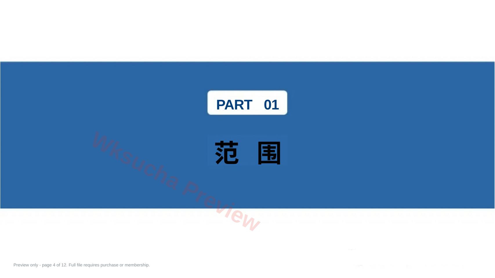预览第 4 页