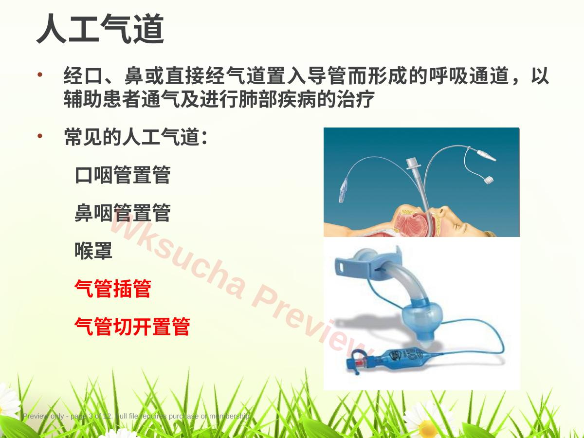 预览第 3 页