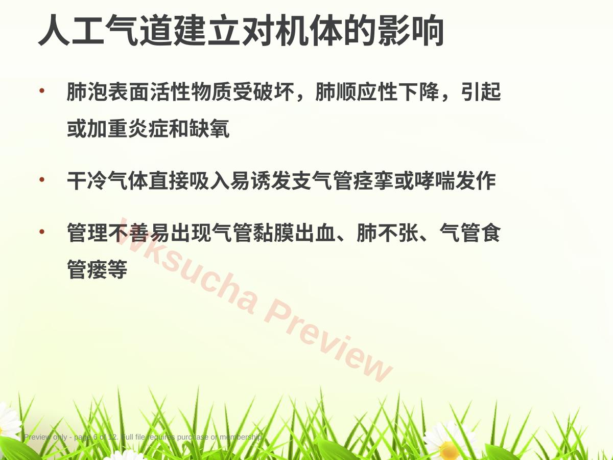 预览第 6 页