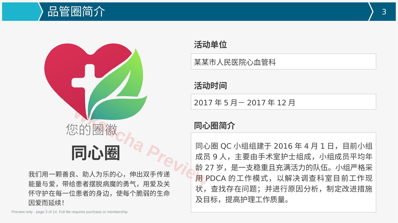 预览第 3 页